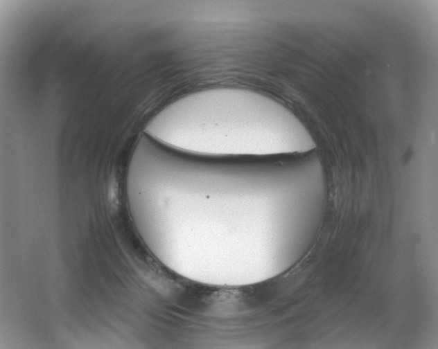 X0000064770124200602101103