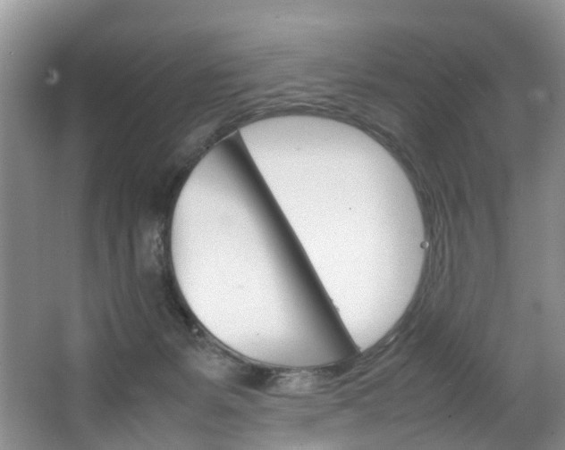 X0000064770127200602101103