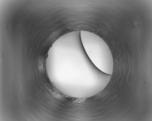 X0000064770138200602101103