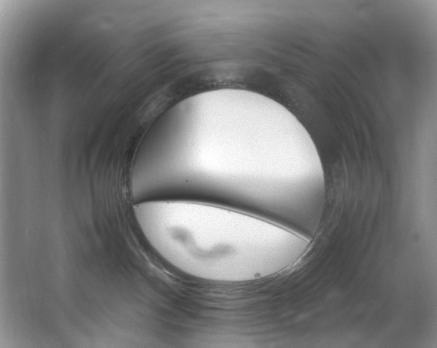 X0000064770140200602101103