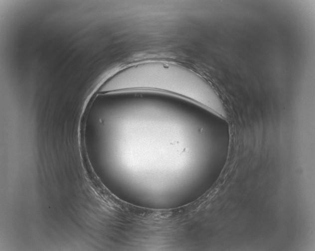 X0000064770148200602101102
