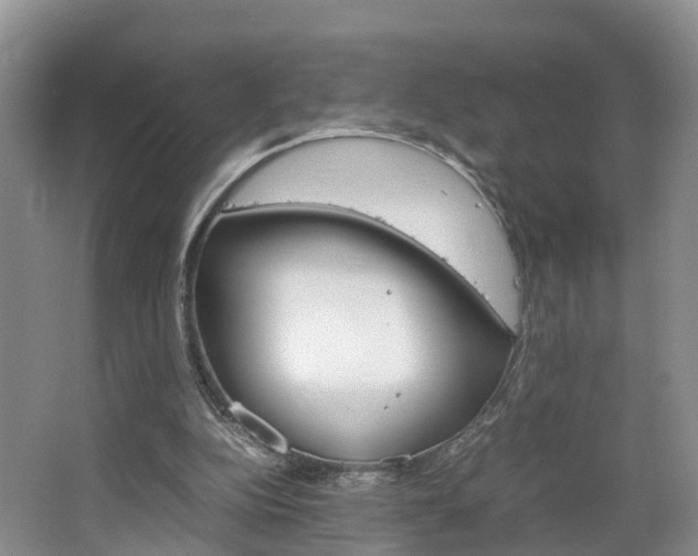 X0000064770152200602101102