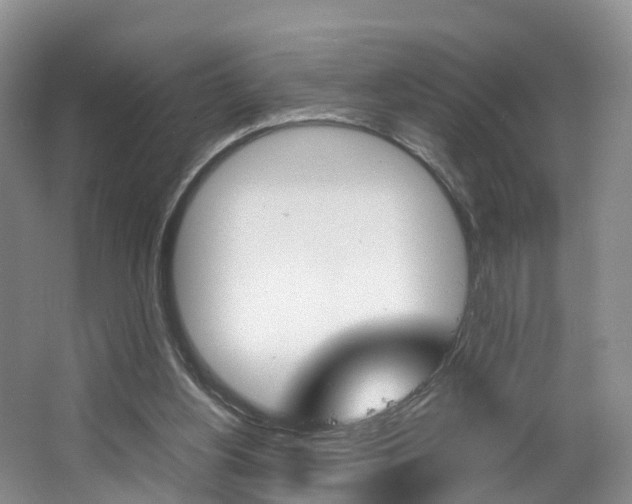 X0000064770156200602101102
