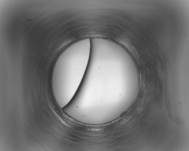 X0000064770157200602101103
