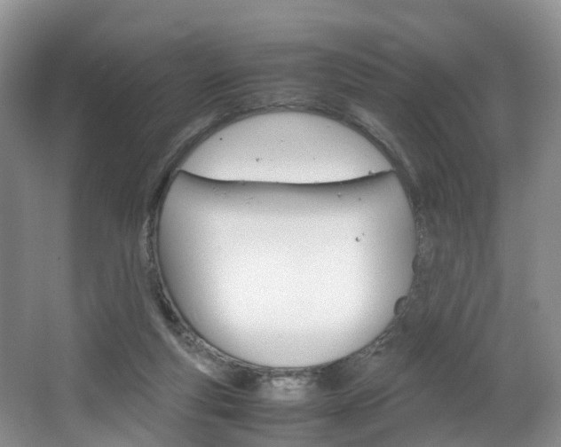 X0000064770163200602101103