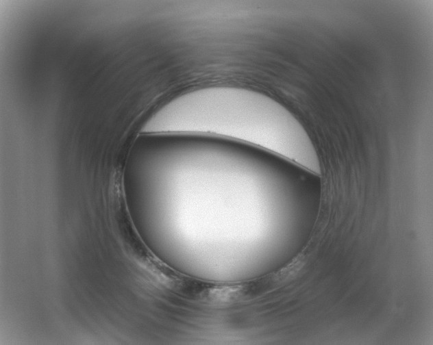 X0000064770172200602101103