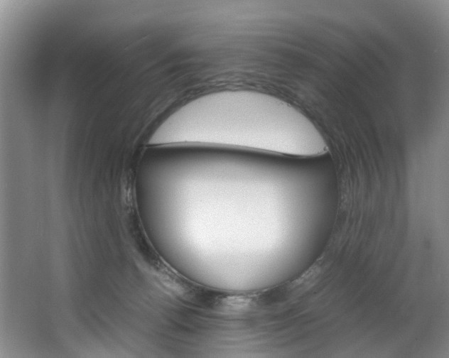 X0000064770176200602101103