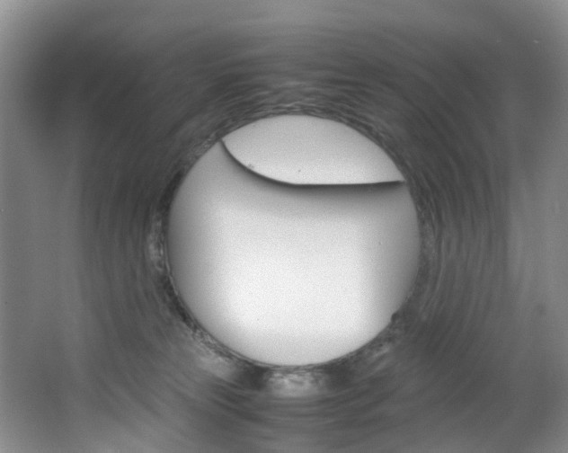 X0000064770181200602101103