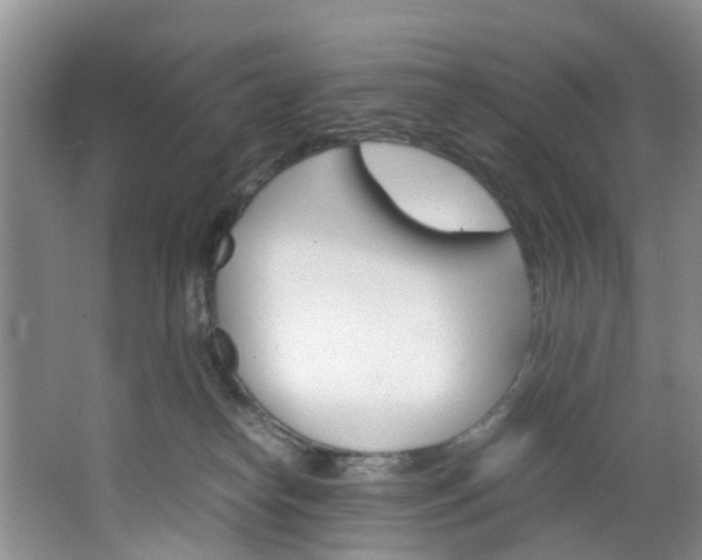 X0000064770182200602101103
