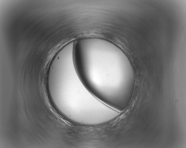 X0000064770193200602101102