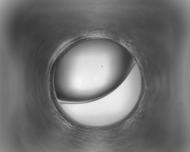 X0000064770199200602101102