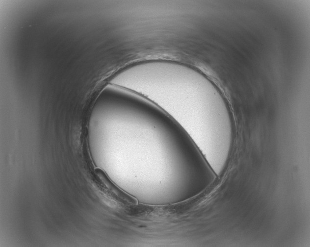 X0000064770201200602101102