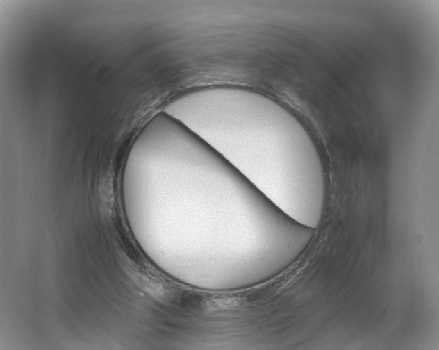 X0000064770202200602101102