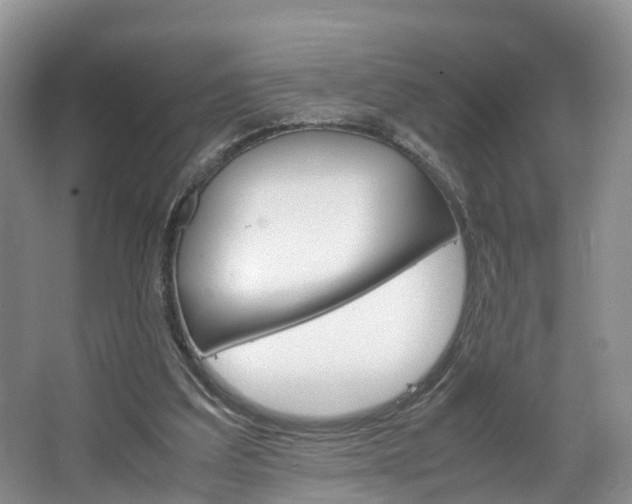 X0000064770203200602101102