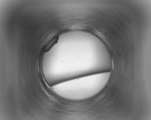 X0000064770205200602101102