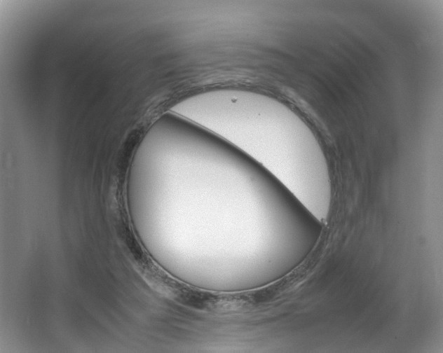 X0000064770209200602101102