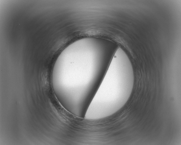 X0000064770212200602101102