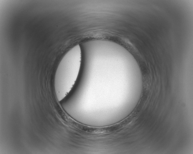 X0000064770213200602101102