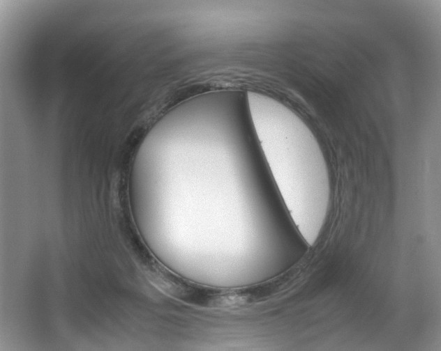 X0000064770217200602101102