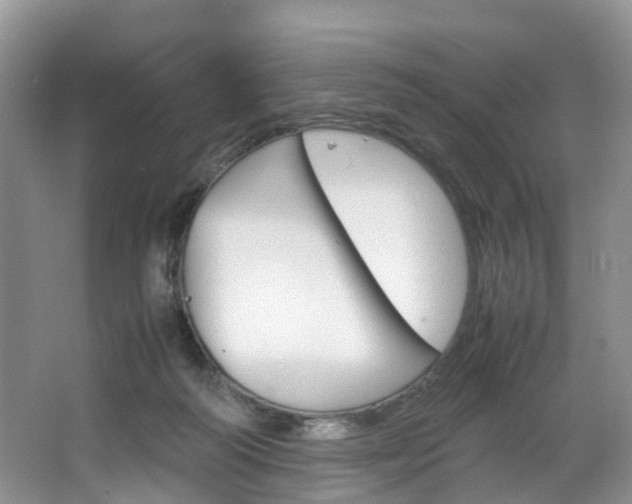 X0000064770218200602101102