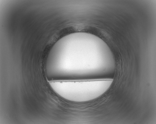 X0000064770221200602101102