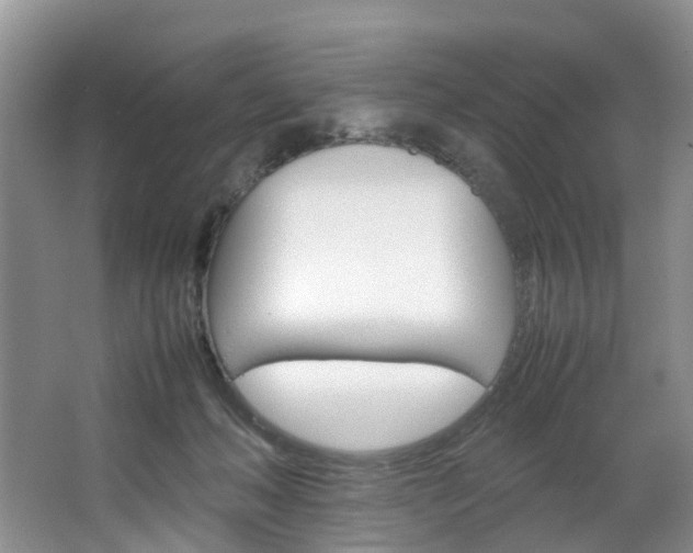 X0000064770222200602101102