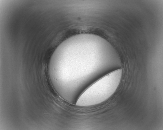 X0000064770225200602101102