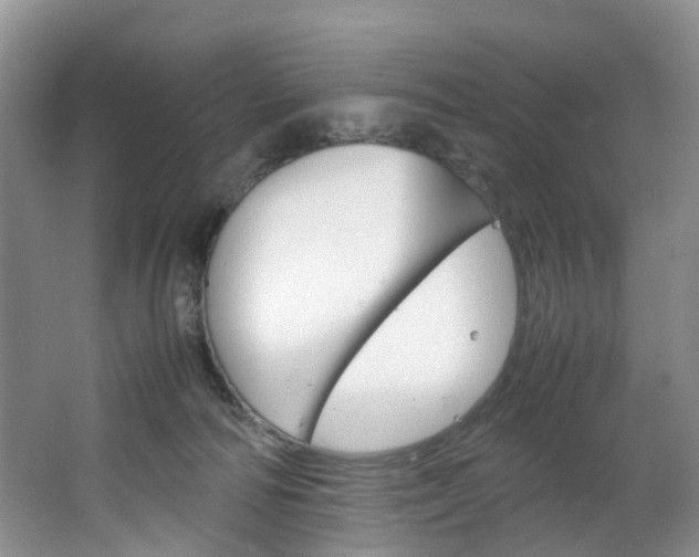 X0000064770226200602101102