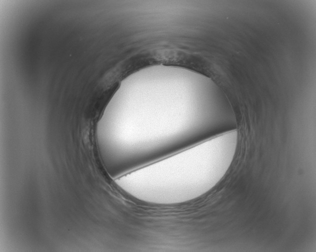 X0000064770233200602101102