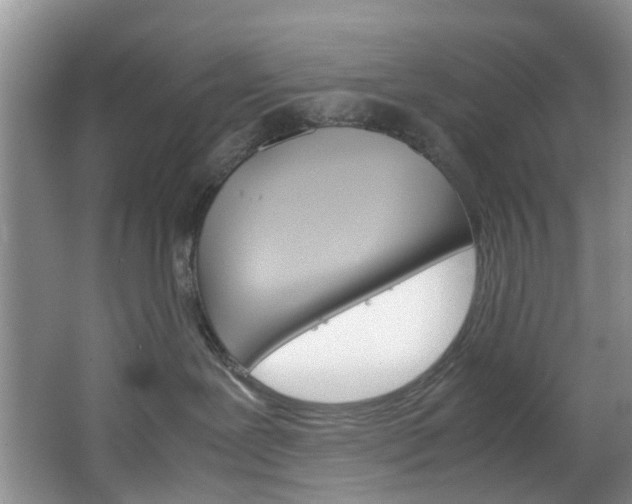 X0000064770239200602101101