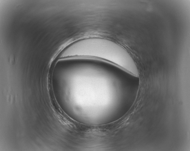 X0000064770244200602101101