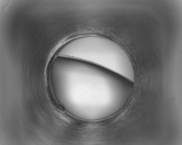 X0000064770246200602101101