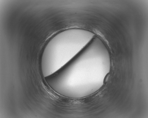 X0000064770249200602101101