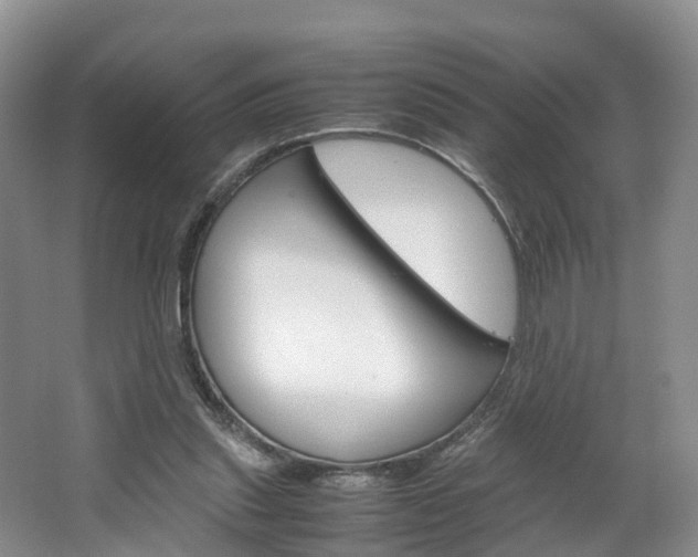 X0000064770253200602101101
