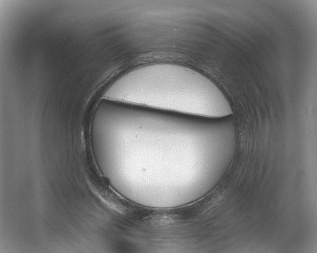 X0000064770254200602101101
