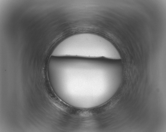 X0000064770258200602101101