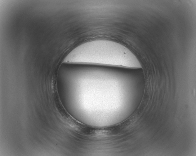 X0000064770268200602101101
