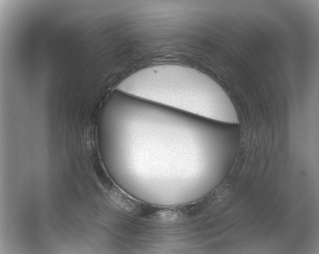 X0000064770272200602101101