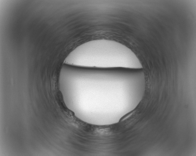 X0000064770283200602101101