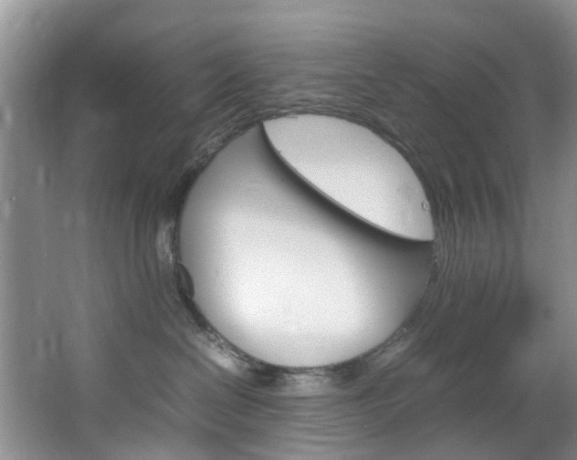 X0000064770286200602101101
