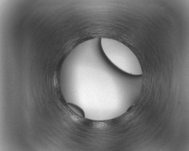 X0000064770287200602101101