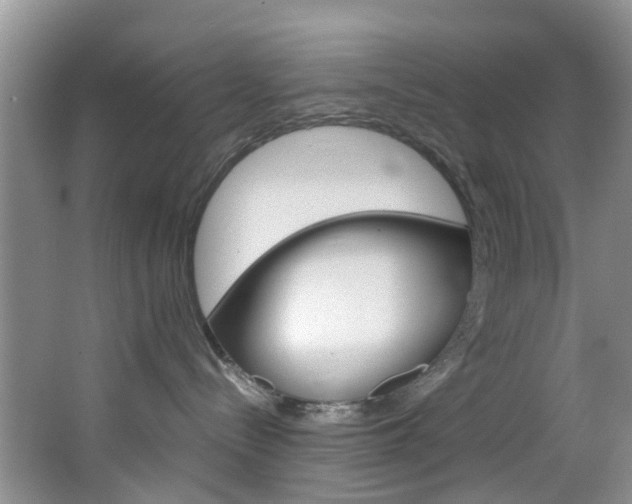 X0000064770288200602101101