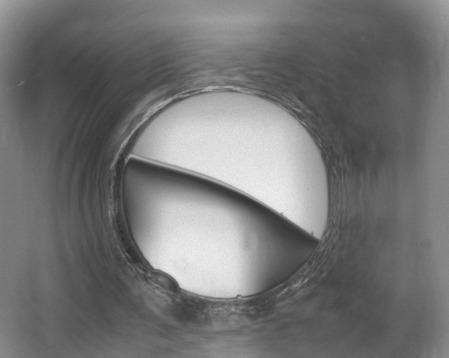 X0000064770291200602101101