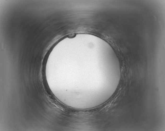 X0000064770292200602101101