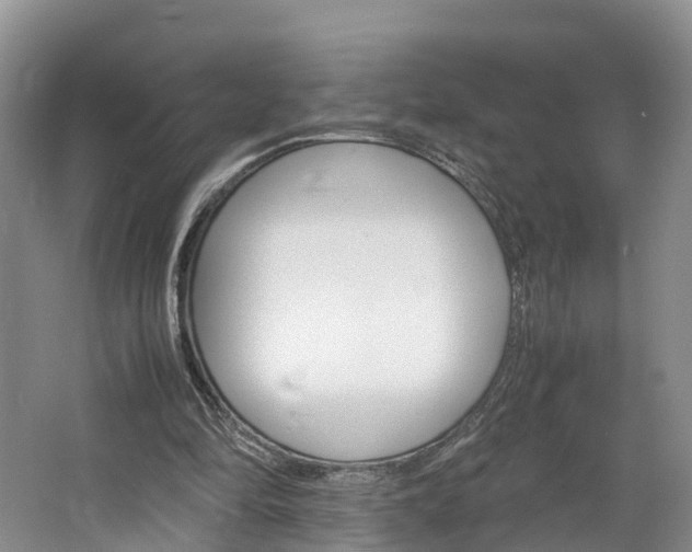 X0000064770294200602101101