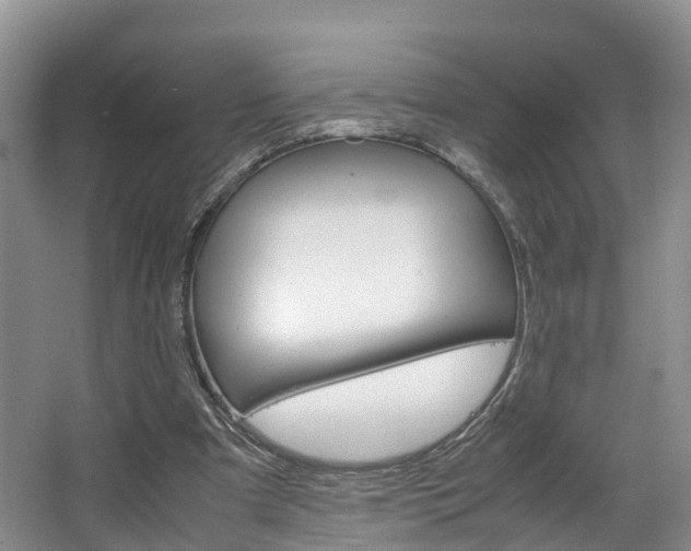 X0000064770297200602101101