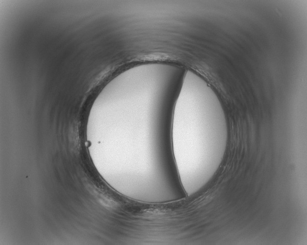 X0000064770300200602101100