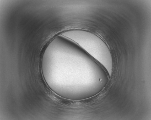 X0000064770301200602101100