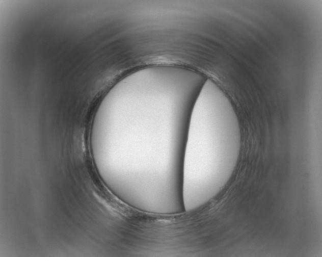 X0000064770302200602101100
