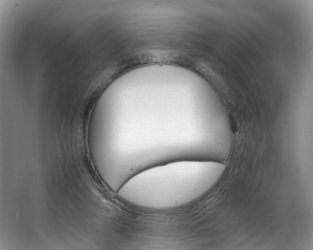 X0000064770306200602101100